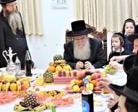 ט"ו בשבט בחצה"ק בערגסאז 