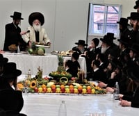 ט"ו בשבט בחצה"ק נדבורנה ירושלים