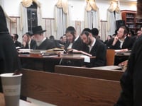 האדמו"ר מבאיאן בלימוד בהיכל הישיבה