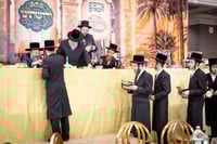 מעמד ירושתינו לטובת צדקת ארה"ק ד'באבוב 45