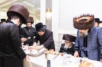 פדיון הבן לנין האדמו"ר מבאבוב 45