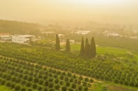 רמת השרון, השבוע