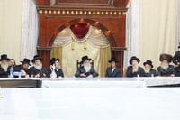 שמחת אירוסי נכדת האדמו"ר מדארג