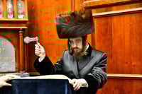 קריאת המגילה בחצה"ק סאדיגורה