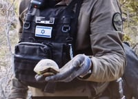 חבלני משטרה הצילו צב שנפגע מרסיס אמל"ח באזור מטה יהודה