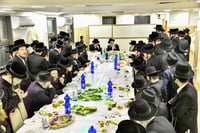 הילולא קדישא בטולנא