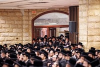 חסידי סקווירא