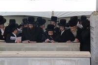 הילולא קדישא בסקולען