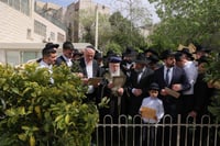 הראשל"צ הגר"י יוסף בברכת האילנות