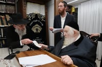 הגר"מ שטרנבוך בחלוקת 'קמחא דפסחא'