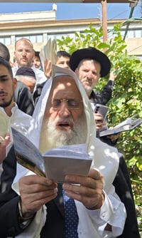 הגאון רבי ראובן אלבז בברכת האילנות