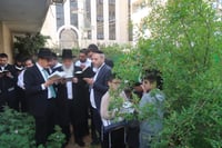 הרב יגאל כהן בברכת האילנות