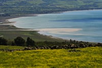 הכנרת, בחודש שעבר