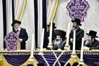 יום הצלה בחצה"ק זוטשקא