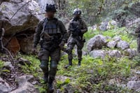 פעילות כוחות חטיבת 'ההרים' (810) בהר דב הלבנוני