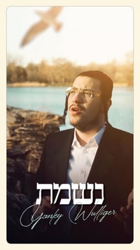 יענקי ווליגר בביצוע חדש לפסח: "נשמת"