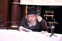 מעמד "ריתחא דאורייתא" בפתח תקווה בראשות ראש הישיבה הגר"ד לנדו