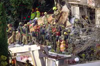 החיפושים בזירה בחיפה, הבוקר