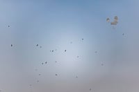 רצף שיגורים לעבר המרכז, הדרום והשומרון | צה"ל באזהרה חריגה לנוסעי הרכבות באיראן