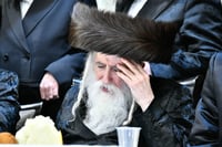 האדמו"ר ממכנובקא בעלזא