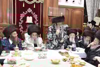 סעודת הילולא בשיכון ג' 