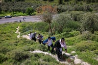 בין הזמנים במירון, אתמול