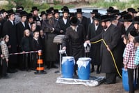 חג הפסח בחצה"ק סערט ויז'ניץ