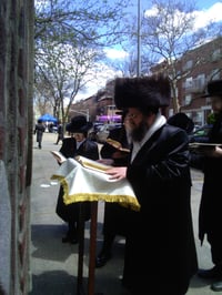 האדמו"ר מקרעטשניף סיגעט ווילאמסבורג בברכת האילנות