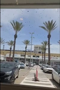 דרמה בנתיבות: מכת דבורים פלשה למרכז המסחרי ואילצה חנויות לנעול דלתות