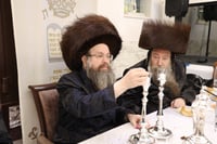 אבד''ק צאנז טשאקאווא בסעודת הילולא