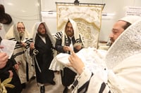 שמחת הברית בשאץ דרהביטש