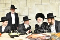 הגר"י זילברשטיין עם הגר"י סילמן 