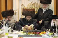 הילולא קדישא בצאנז ז'ימגראד