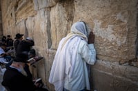 הקור נשבר בהדרגה: עלייה בטמפרטורות בימים הקרובים | התחזית המלאה