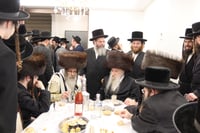 שמחת הברית לצאצאם של האדמו"ר מטשארנאביל ורבי נחמן בידרמן 