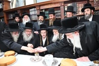 שמחת בית מודז'יץ - נדבורנה - יארוסלב - אופלה