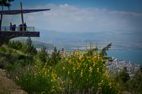 הכנרת, אתמול