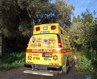 הכוחות בזירה, הבוקר