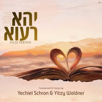 סינגלים וקליפים