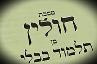 הדף היומי: מס' חולין דפים ב'-ג' יום ראשון ט"ז באייר