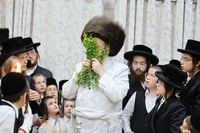 האדמו"ר מקאמאדא בשבת בחיפה