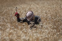 הקלה בחום, ואז המהפך: הטמפרטורות צונחות - וגשם בדרך | התחזית המלאה