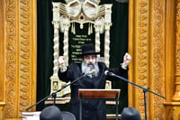הגרצ"מ זילברברג בבני ברק
