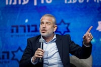 ינון מגל