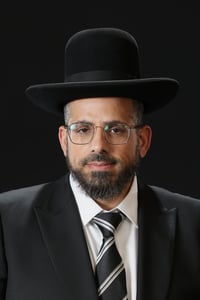 הרב דוד צדוק