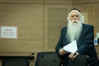 מאיר פרוש
