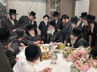 האדמו"ר מויז'ניץ מונסי בביקור אצל האדמו"ר מהארנסטייפל