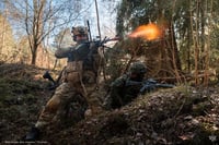 לוחמים צרפתים