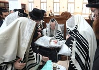 שמחת הברית בחצרות טשארנאביל - מעליץ