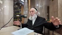 הגר"י זילברשטיין בדבריו